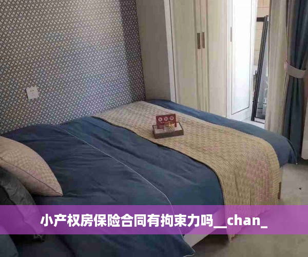 小产权房保险合同有拘束力吗__chan_
