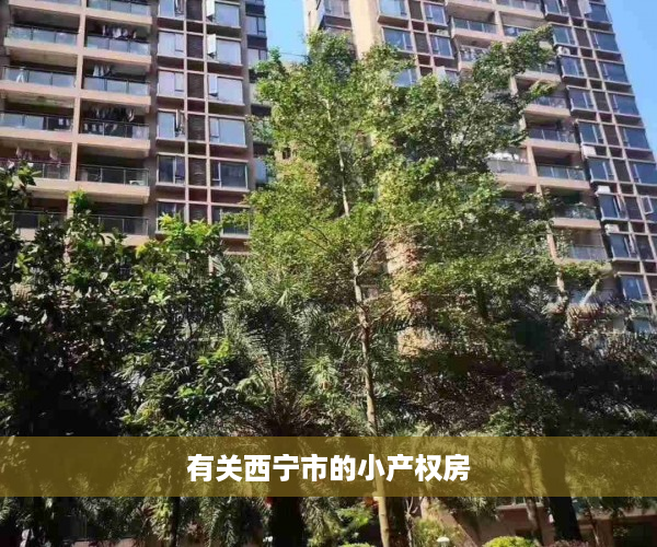 有关西宁市的小产权房