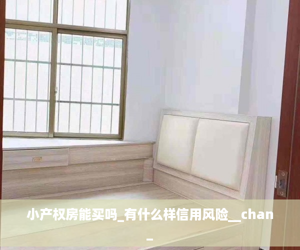 小产权房能买吗_有什么样信用风险__chan_