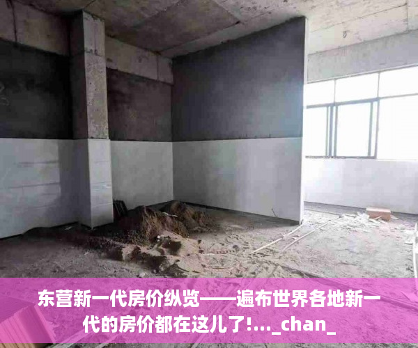 东营新一代房价纵览——遍布世界各地新一代的房价都在这儿了!..._chan_