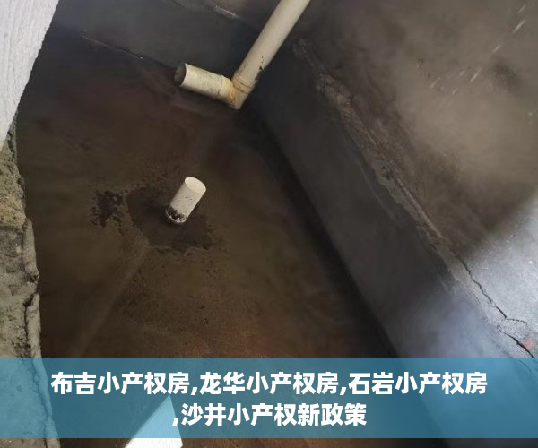 布吉小产权房,龙华小产权房,石岩小产权房,沙井小产权新政策
