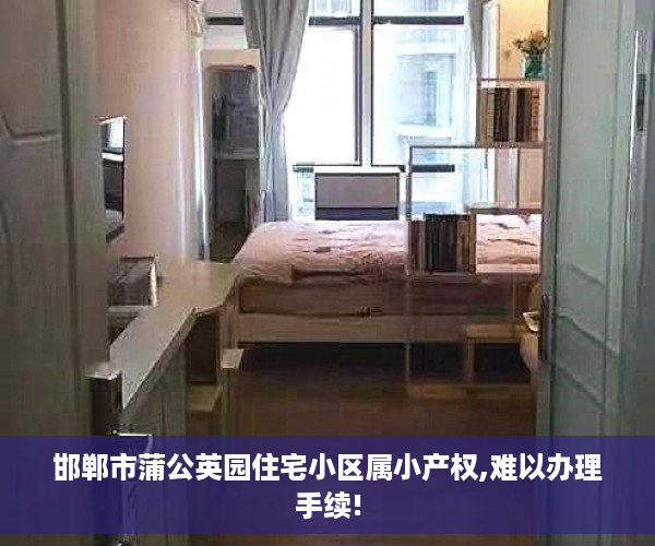 邯郸市蒲公英园住宅小区属小产权,难以办理手续!