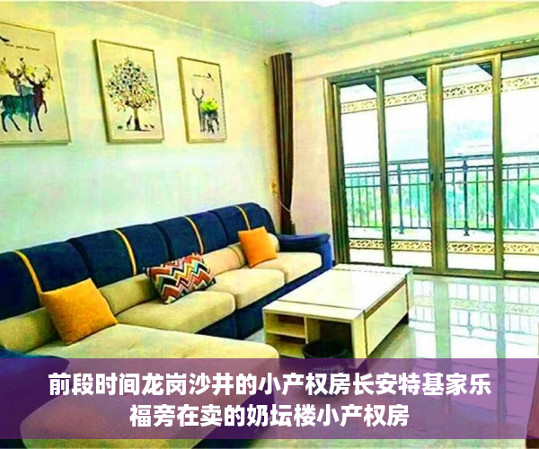前段时间龙岗沙井的小产权房长安特基家乐福旁在卖的奶坛楼小产权房