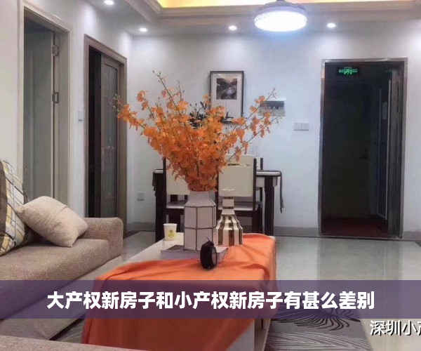 大产权新房子和小产权新房子有甚么差别