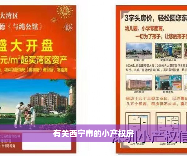 有关西宁市的小产权房