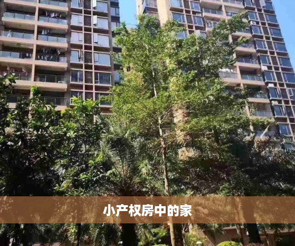 小产权房中的家