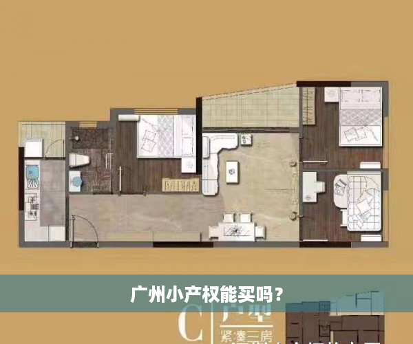 广州小产权能买吗？