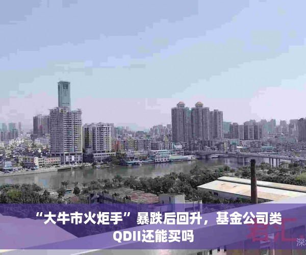 “大牛市火炬手”暴跌后回升，基金公司类QDII还能买吗