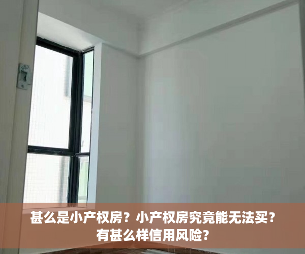 甚么是小产权房？小产权房究竟能无法买？有甚么样信用风险？