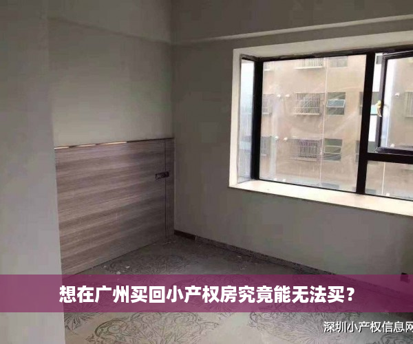 想在广州买回小产权房究竟能无法买？