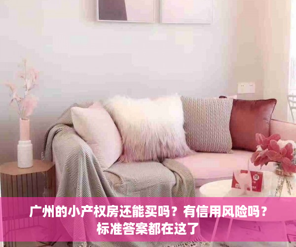 广州的小产权房还能买吗？有信用风险吗？标准答案都在这了