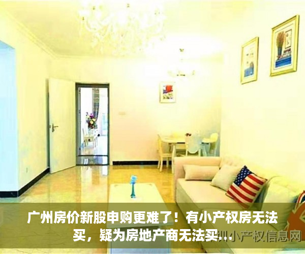 广州房价新股申购更难了！有小产权房无法买，疑为房地产商无法买…