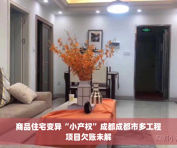 商品住宅变异“小产权”成都成都市多工程项目欠账未解