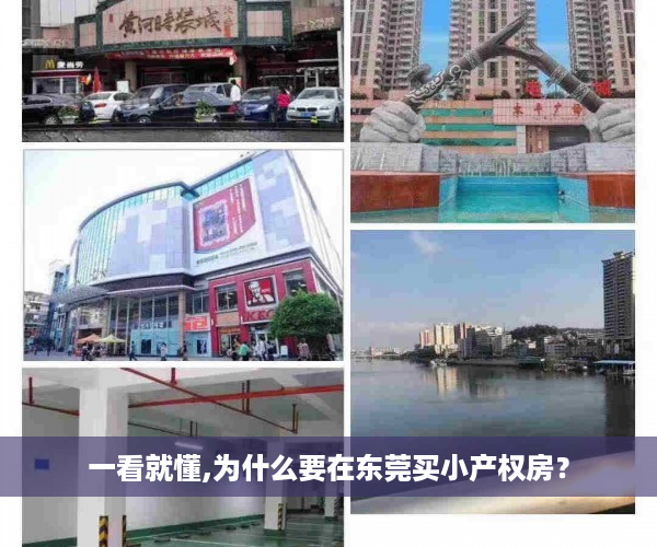 一看就懂,为什么要在东莞买小产权房？