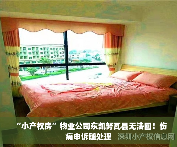 “小产权房”物业公司东凯努瓦县无法回！伤痛申诉随处理