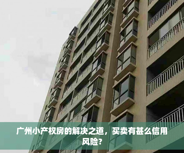 广州小产权房的解决之道，买卖有甚么信用风险？