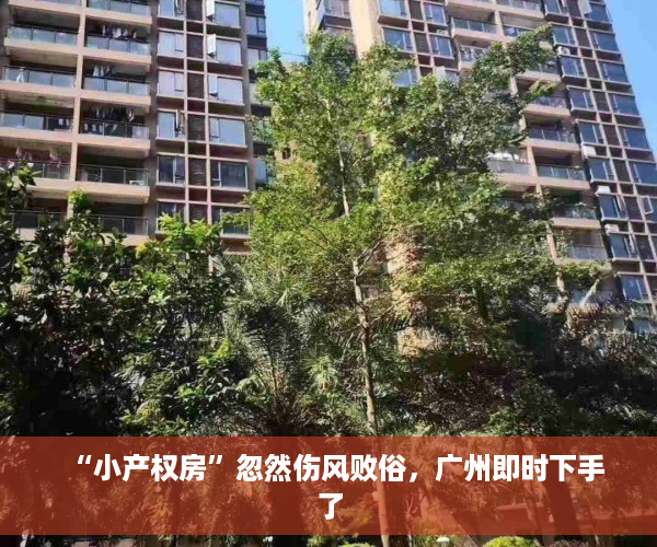 “小产权房”忽然伤风败俗，广州即时下手了