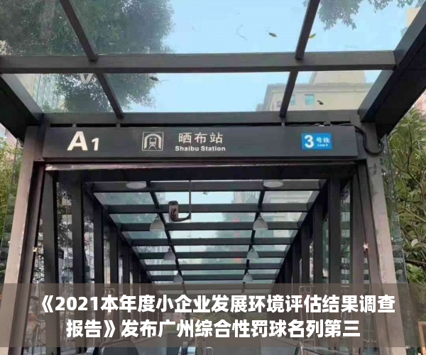 《2021本年度小企业发展环境评估结果调查报告》发布广州综合性罚球名列第三