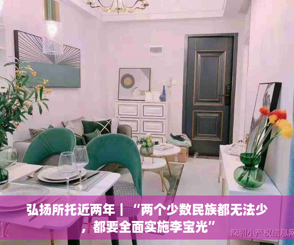 弘扬所托近两年｜“两个少数民族都无法少，都要全面实施李宝光”