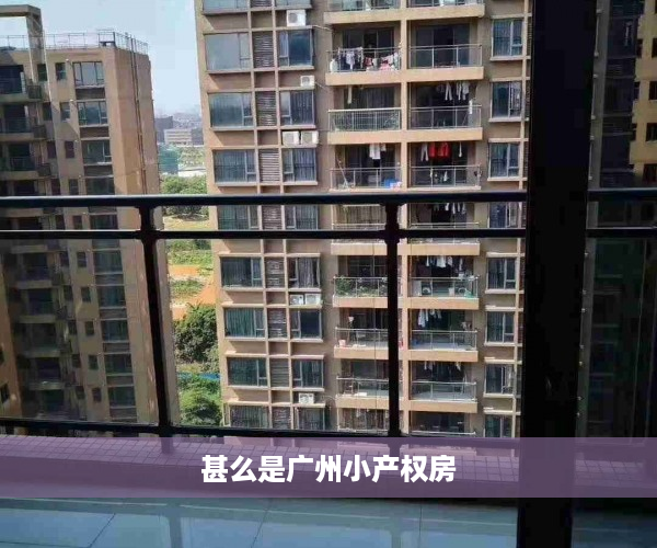 甚么是广州小产权房