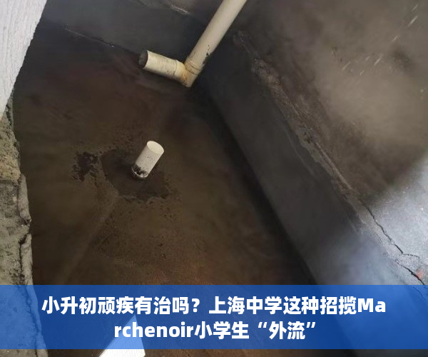 小升初顽疾有治吗？上海中学这种招揽Marchenoir小学生“外流”
