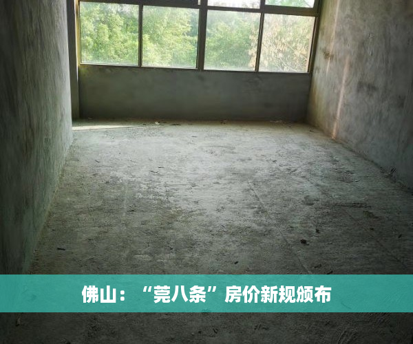 佛山：“莞八条”房价新规颁布