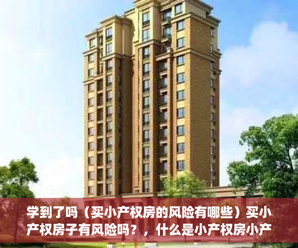学到了吗（买小产权房的风险有哪些）买小产权房子有风险吗？，什么是小产权房小产权房能买吗，