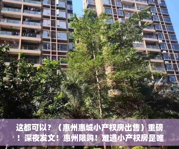 这都可以？（惠州惠城小产权房出售）重磅！深夜发文！惠州限购！难道小产权房是唯一的选择吗？，惠州惠阳小产权房现价多少，