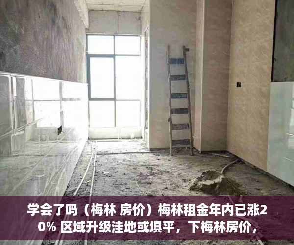 学会了吗（梅林 房价）梅林租金年内已涨20% 区域升级洼地或填平，下梅林房价，