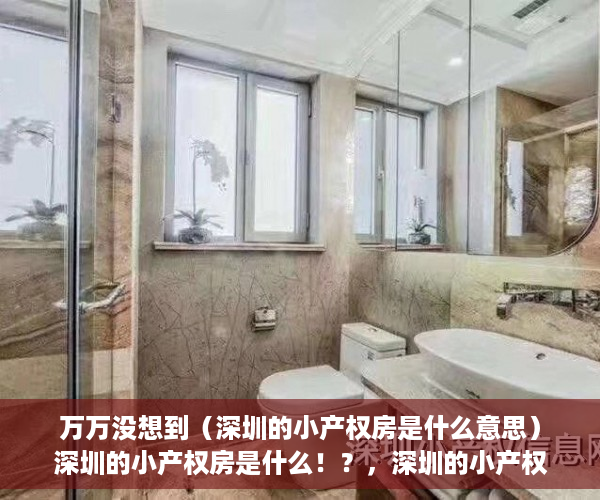 万万没想到（深圳的小产权房是什么意思）深圳的小产权房是什么！？，深圳的小产权房是什么样的，