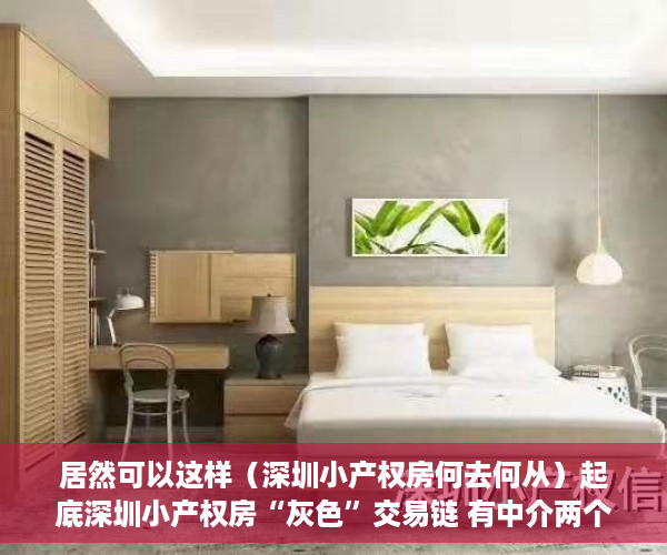 居然可以这样（深圳小产权房何去何从）起底深圳小产权房“灰色”交易链 有中介两个月完成全年业绩指标，深圳现在小产权房买了以后有风险吗，