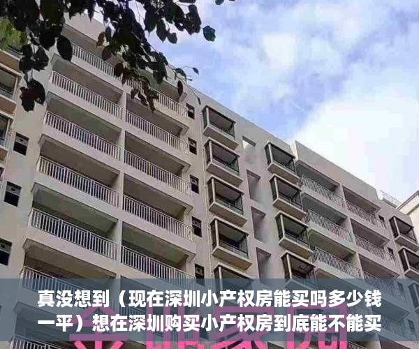 真没想到（现在深圳小产权房能买吗多少钱一平）想在深圳购买小产权房到底能不能买？，现在深圳小产权房能买吗多少钱一平方，