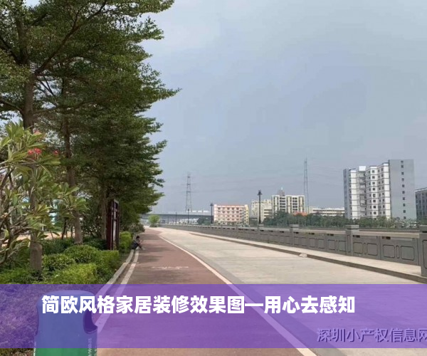 简欧风格家居装修效果图—用心去感知        