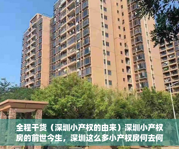 全程干货（深圳小产权的由来）深圳小产权房的前世今生，深圳这么多小产权房何去何从，