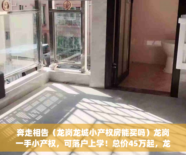 奔走相告（龙岗龙城小产权房能买吗）龙岗一手小产权，可落户上学！总价45万起，龙岗中心城小产权房，