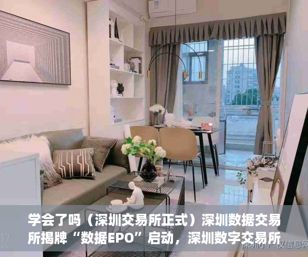 学会了吗（深圳交易所正式）深圳数据交易所揭牌“数据EPO”启动，深圳数字交易所，