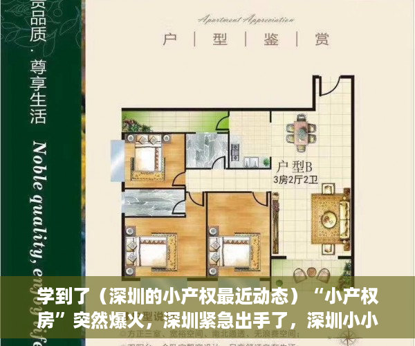 学到了（深圳的小产权最近动态）“小产权房”突然爆火，深圳紧急出手了，深圳小小产权房，
