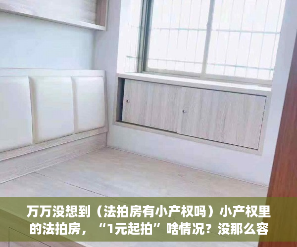 万万没想到（法拍房有小产权吗）小产权里的法拍房，“1元起拍”啥情况？没那么容易捡到“便宜”，法拍房1元起拍买得到吗，