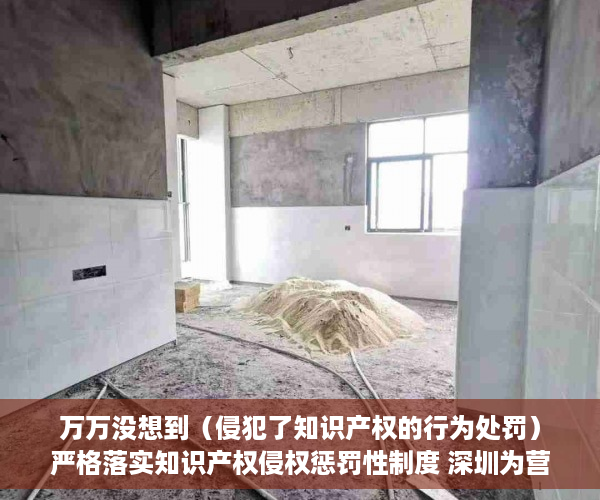万万没想到（侵犯了知识产权的行为处罚）严格落实知识产权侵权惩罚性制度 深圳为营商环境撑起法治晴空，依法加大对知识产权侵权行为惩治力度，