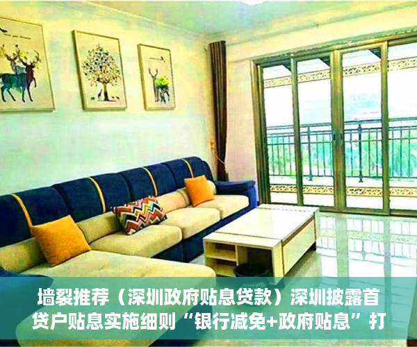 墙裂推荐（深圳政府贴息贷款）深圳披露首贷户贴息实施细则“银行减免+政府贴息”打破“首贷”难，深圳贷款贴息政府补助，