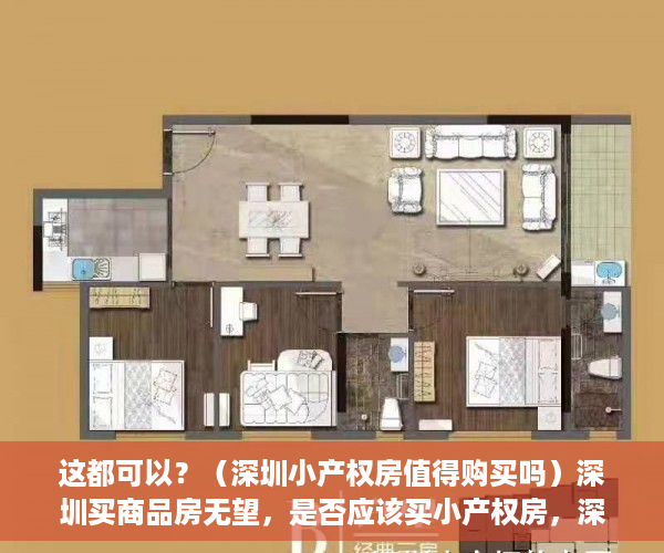 这都可以？（深圳小产权房值得购买吗）深圳买商品房无望，是否应该买小产权房，深圳小产权房到底可不可以买，