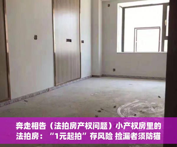 奔走相告（法拍房产权问题）小产权房里的法拍房：“1元起拍”存风险 捡漏者须防猫腻，法拍房1元起拍怎么回事，