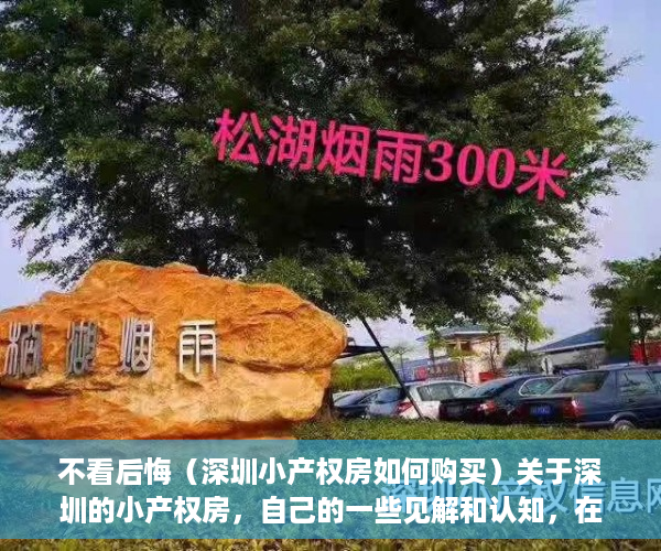 不看后悔（深圳小产权房如何购买）关于深圳的小产权房，自己的一些见解和认知，在深圳买小产权房怎么样，