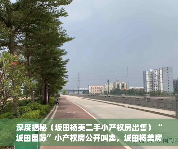 深度揭秘（坂田杨美二手小产权房出售）“坂田国际”小产权房公开叫卖，坂田杨美房价，