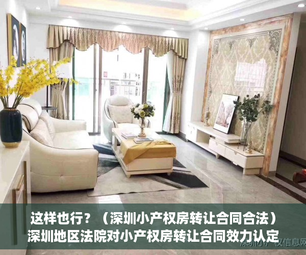 这样也行？（深圳小产权房转让合同合法）深圳地区法院对小产权房转让合同效力认定的态度演变及法律困境，深圳小产权房可以转让吗，