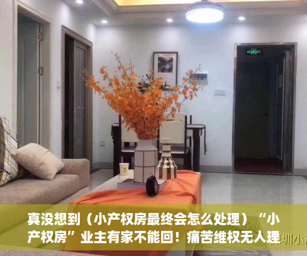 真没想到（小产权房最终会怎么处理）“小产权房”业主有家不能回！痛苦维权无人理，小产权房问题解决，