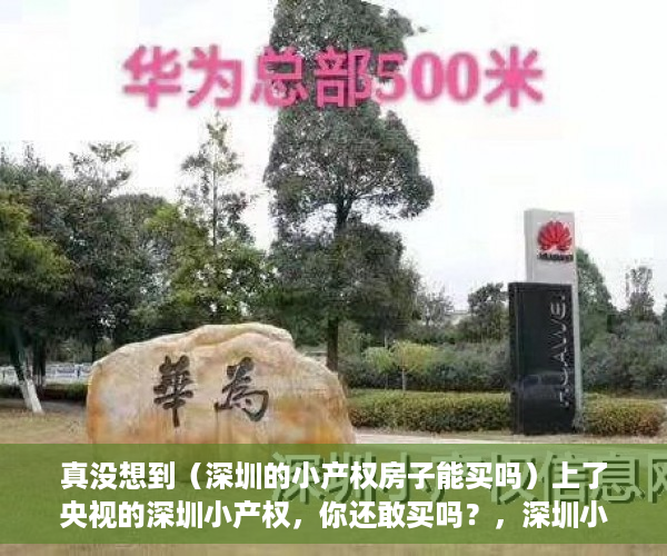 真没想到（深圳的小产权房子能买吗）上了央视的深圳小产权，你还敢买吗？，深圳小产权哪里值得买，
