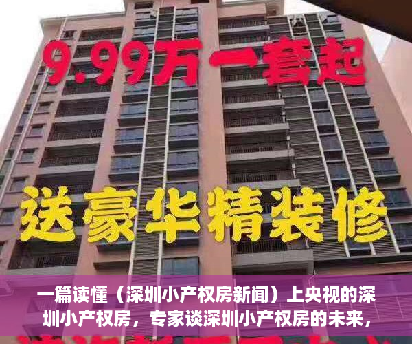 一篇读懂（深圳小产权房新闻）上央视的深圳小产权房，专家谈深圳小产权房的未来，