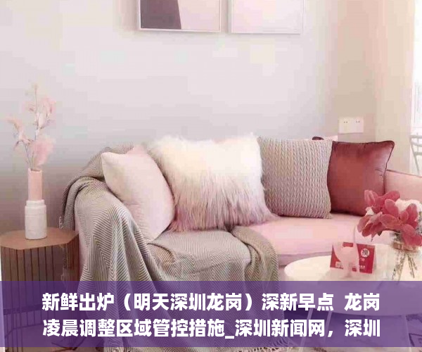 新鲜出炉（明天深圳龙岗）深新早点  龙岗凌晨调整区域管控措施_深圳新闻网，深圳周一早高峰，