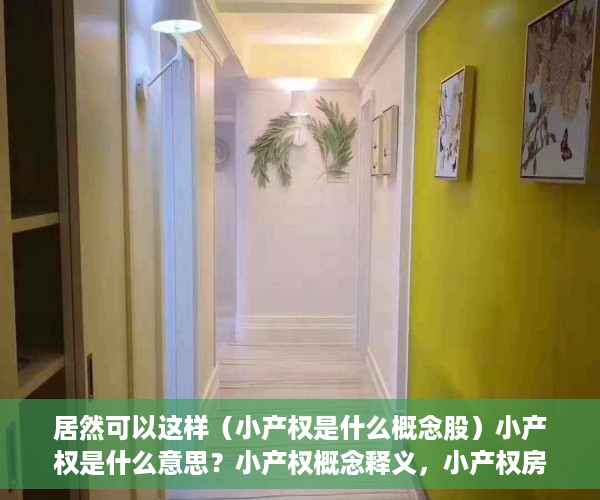 居然可以这样（小产权是什么概念股）小产权是什么意思？小产权概念释义，小产权房子是什么概念，